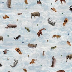 Clouds-Safari.jpg Clouds Safari