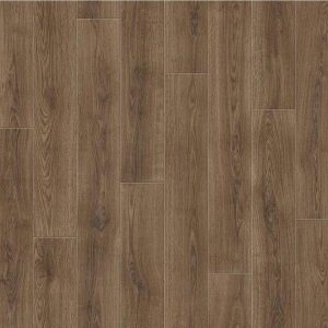 Cumbrian-Oak-669D.jpg Cumbrian Oak 669D