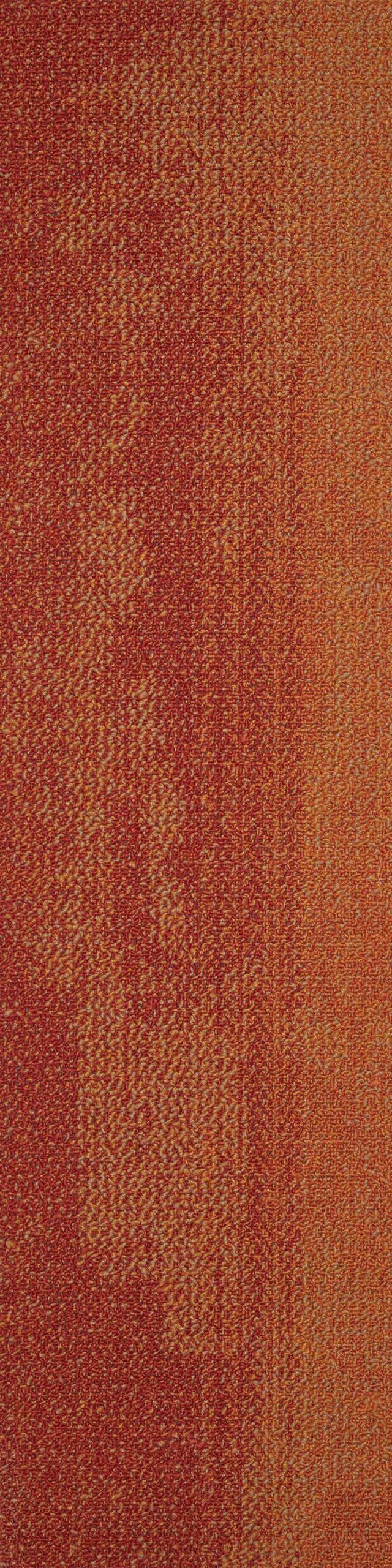 Saxony 06 karo Halı