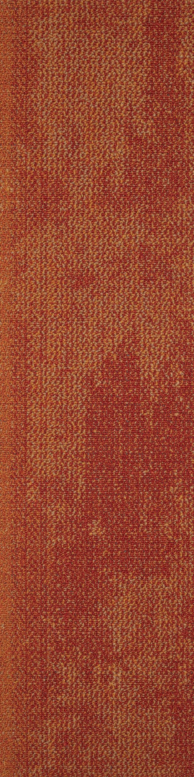 Saxony 06 karo Halı - Görsel 2