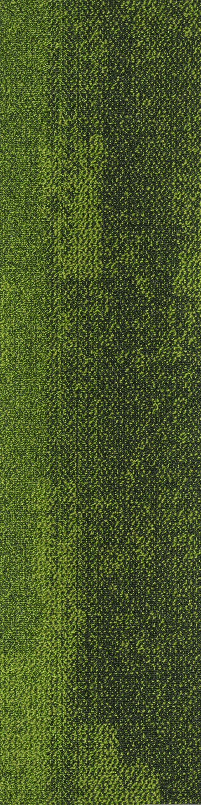 Saxony 07 karo Halı