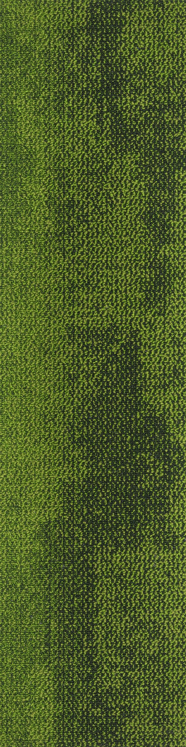 Saxony 07 karo Halı - Görsel 3