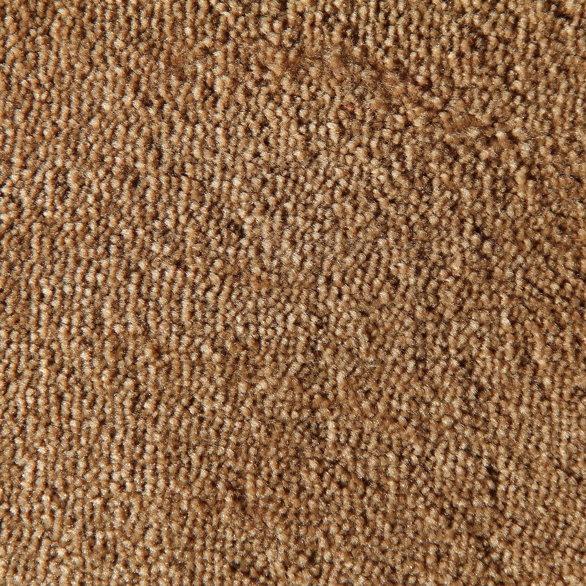 Tufting Duvardan Duvara Halı - Dinar Koyu Bej 15mm