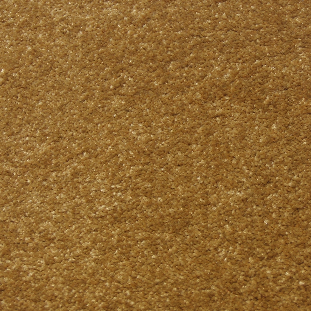 Tufting Duvardan Duvara Halı - Gold 02 Gold 15mm.