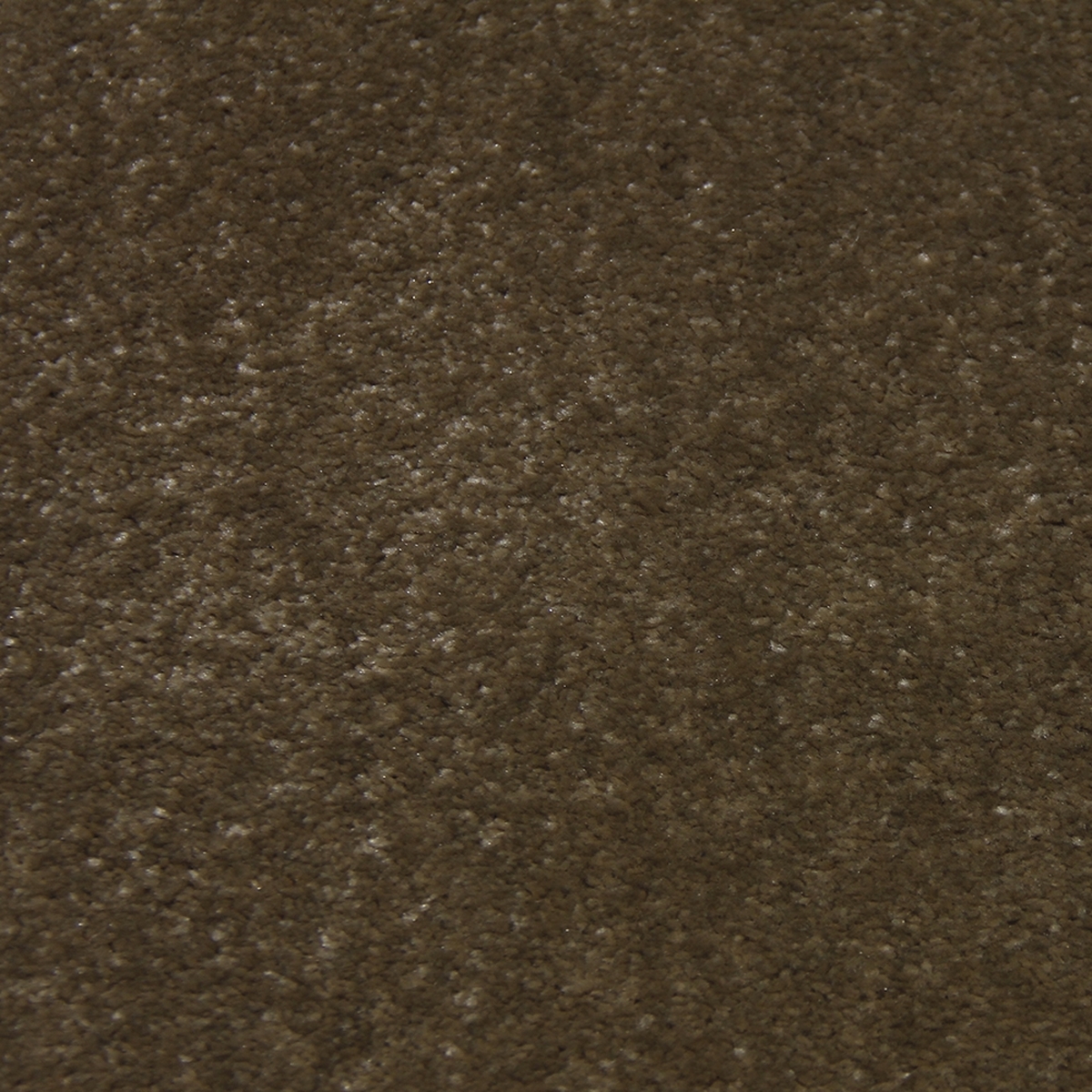 Tufting Duvardan Duvara Halı - Gold 03 Dark Beige 15mm.