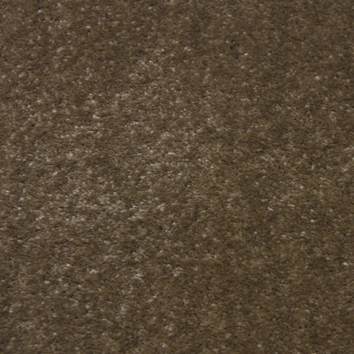 Tufting Duvardan Duvara Halı - Gold 03 Dark Beige 15mm. - Görsel 4