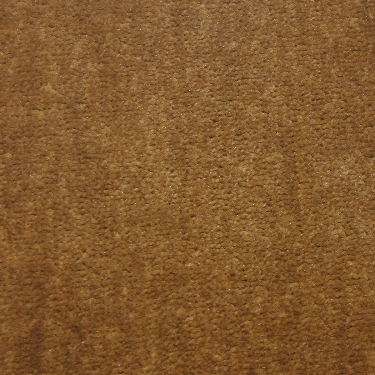 Tufting Duvardan Duvara Halı - London Bal Rengi 8mm.