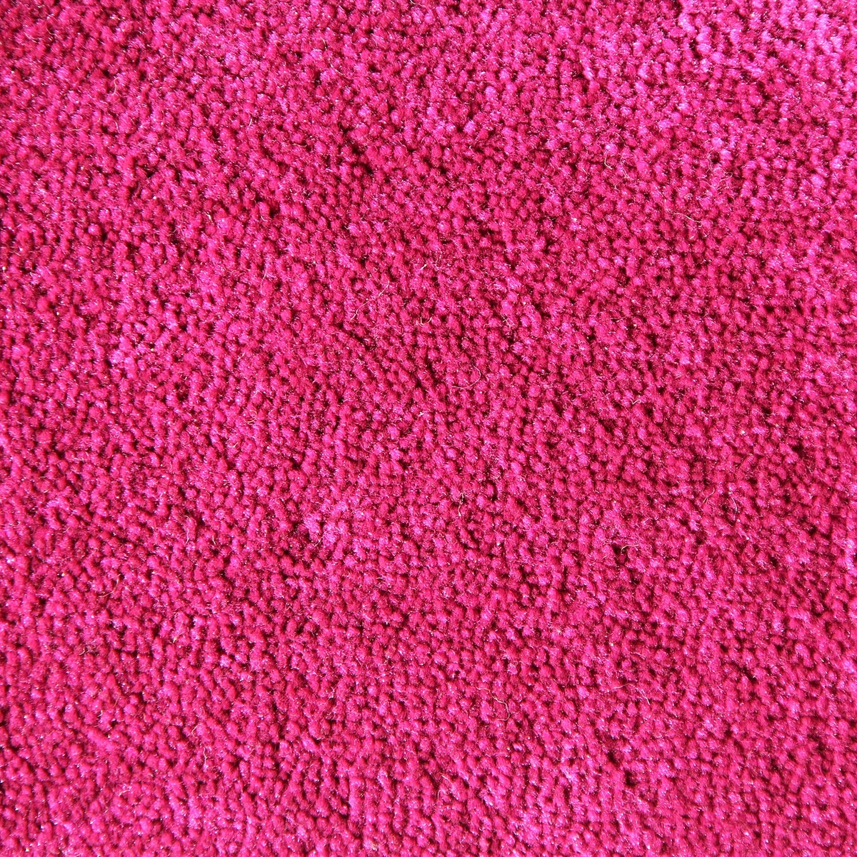 Tufting Duvardan Duvara Halı - Raha Fuşya 20mm