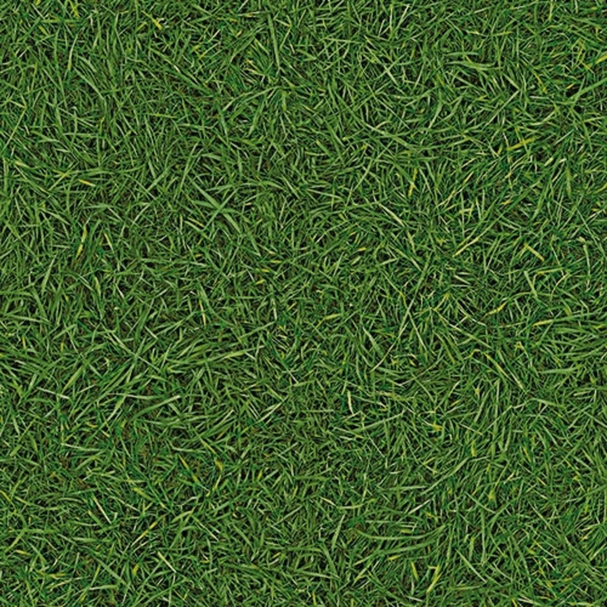 MyFloor Grass Çimen Desenli Yoğun Trafik Pvc Yer Kaplaması